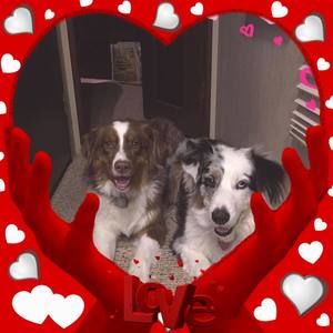 Meet your Posher, Dana